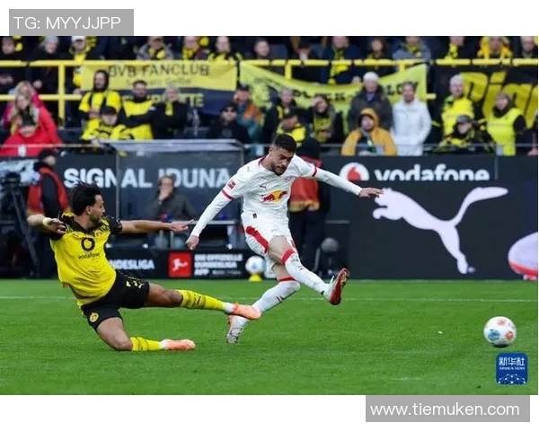 德甲赛季激情四溢：拜仁领跑，多特紧追不舍