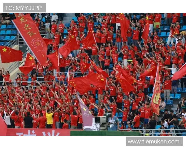 球迷燃情助威，为心中的偶像打出最热烈的助威声！