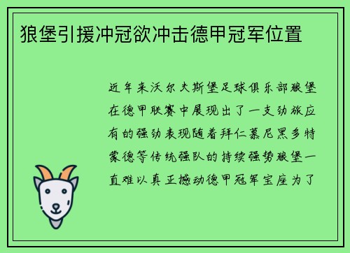 狼堡引援冲冠欲冲击德甲冠军位置