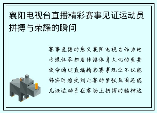 襄阳电视台直播精彩赛事见证运动员拼搏与荣耀的瞬间